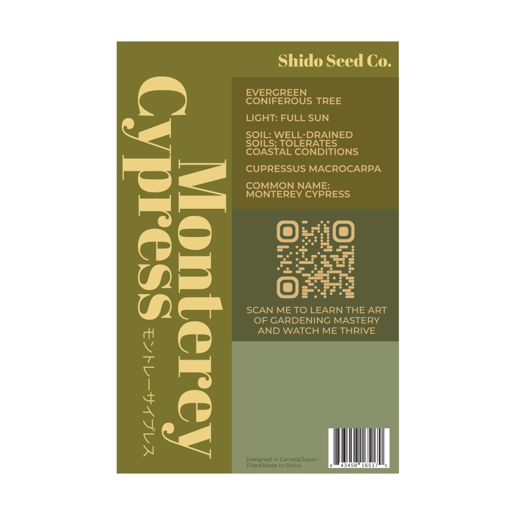 2026 Monterey Cypress Flower Seeds Packet - Chive US Wholesale