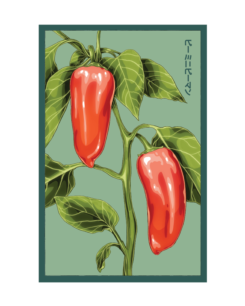 2026 Mini Sweet Peppers Vegetable Seeds Packet - Chive US Wholesale