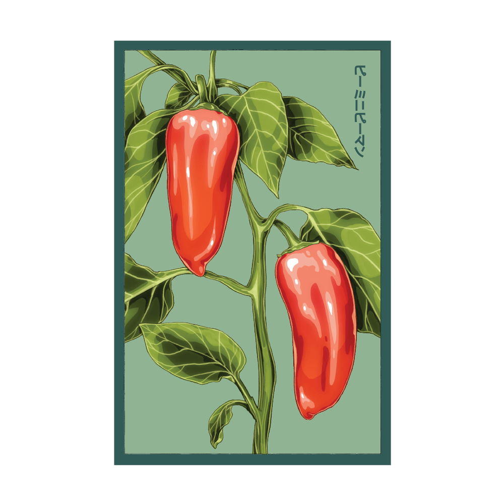 2026 Mini Sweet Peppers Vegetable Seeds Packet - Chive US Wholesale
