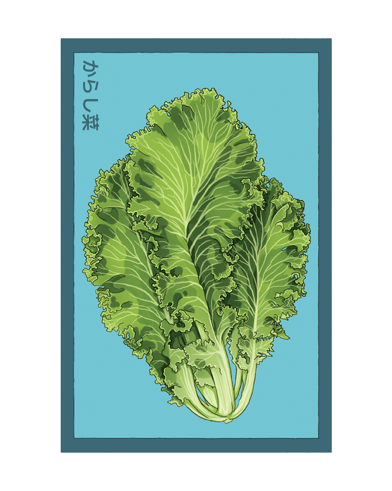 Mustard Greens Vegetable Seeds Packet - Chive US Wholesale