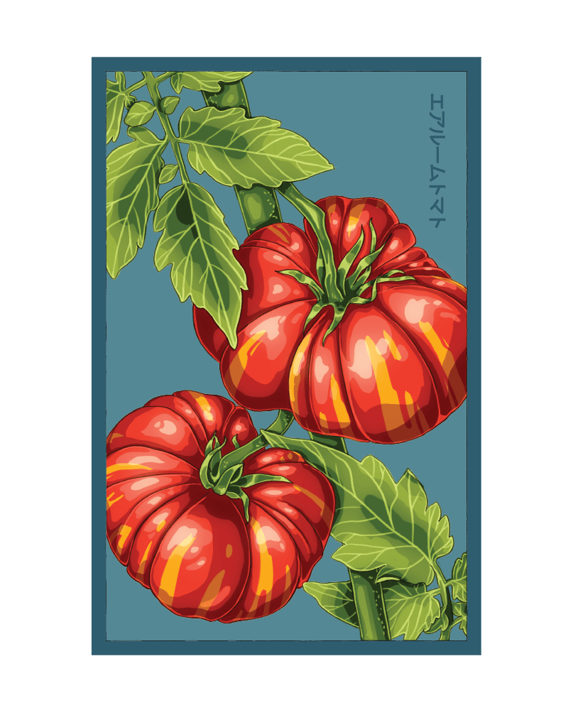 2026 Old German Heirloom Tomato Vegetable Seeds Packet - Chive US Wholesale