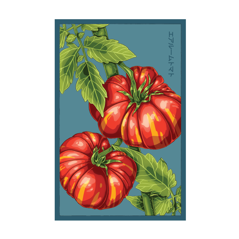 2026 Old German Heirloom Tomato Vegetable Seeds Packet - Chive US Wholesale