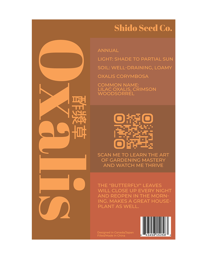 Oxallis Flower Seeds Packet - Chive US Wholesale