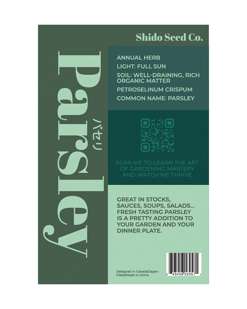 Parsley Herb Seeds Packet - Chive US Wholesale