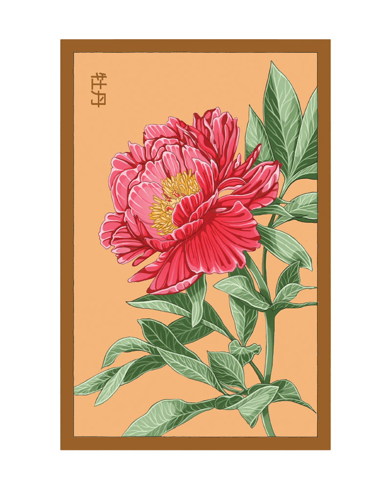 Peony Flower Seeds Packet - Chive US Wholesale