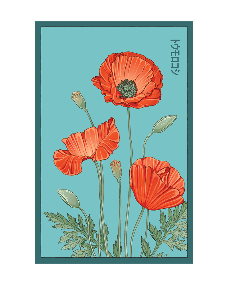 Corn Poppy Flower Seeds Packet - Chive US Wholesale