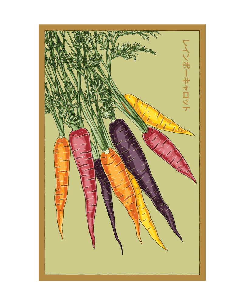 2026 Rainbow Carrot Vegetable Seeds Packet - Chive US Wholesale