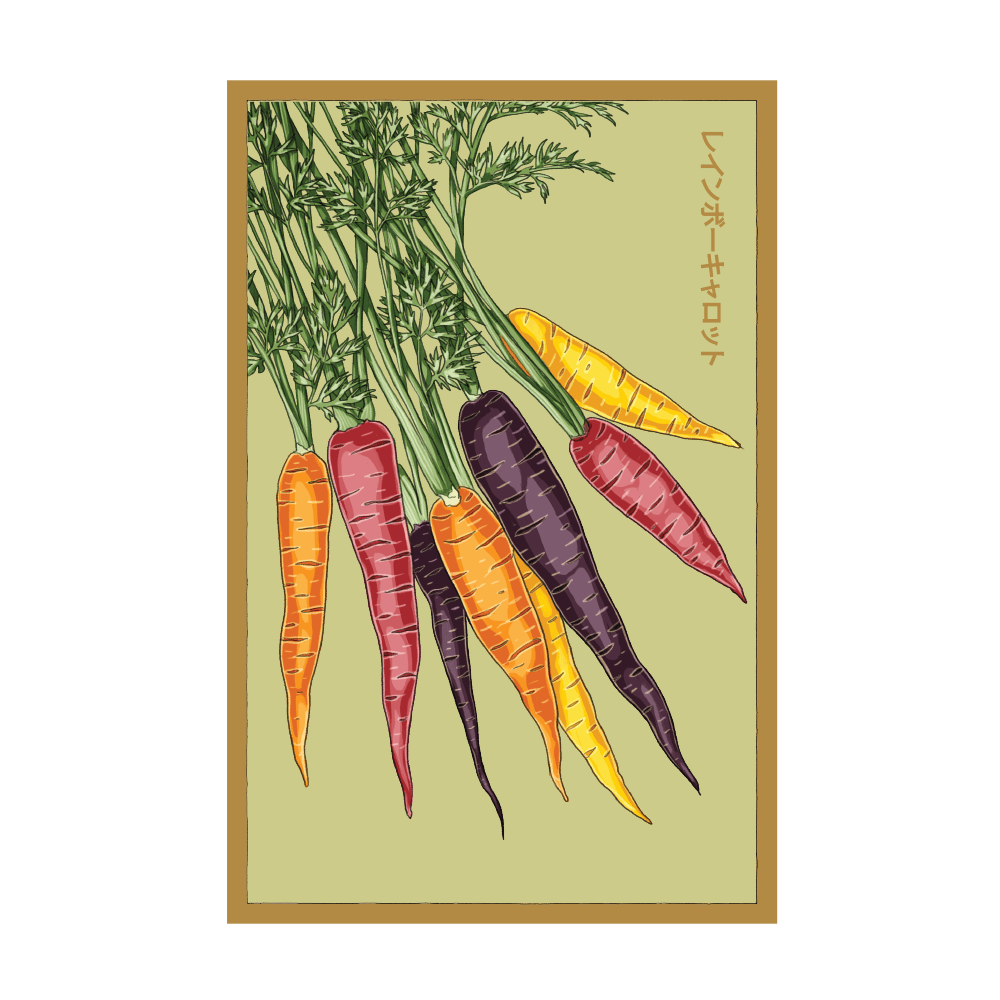 2026 Rainbow Carrot Vegetable Seeds Packet - Chive US Wholesale