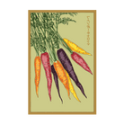 2026 Rainbow Carrot Vegetable Seeds Packet - Chive US Wholesale