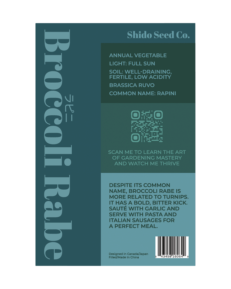 Rapini Vegetable Seeds Packet - Chive US Wholesale