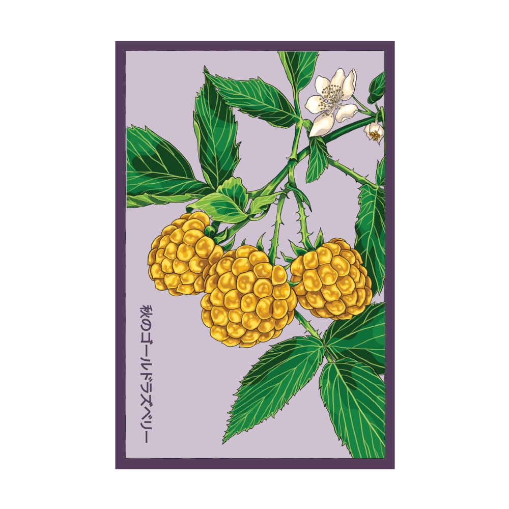2026 Raspberry Fall Gold Flower Seeds Packet - Chive US Wholesale