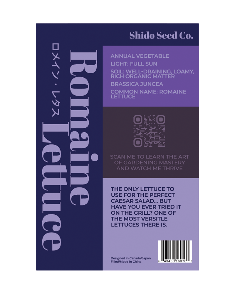 Romaine Lettuce Vegetable Seeds Packet - Chive US Wholesale