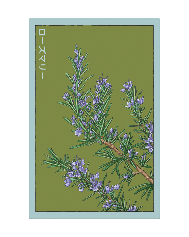 Rosemary Herb Seeds Packet - Chive US Wholesale