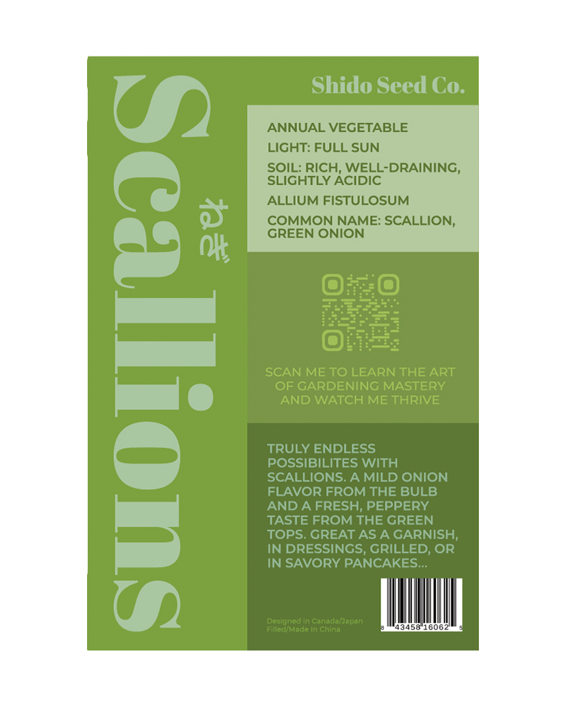 Scallions Vegetable Seeds Packet - Chive US Wholesale