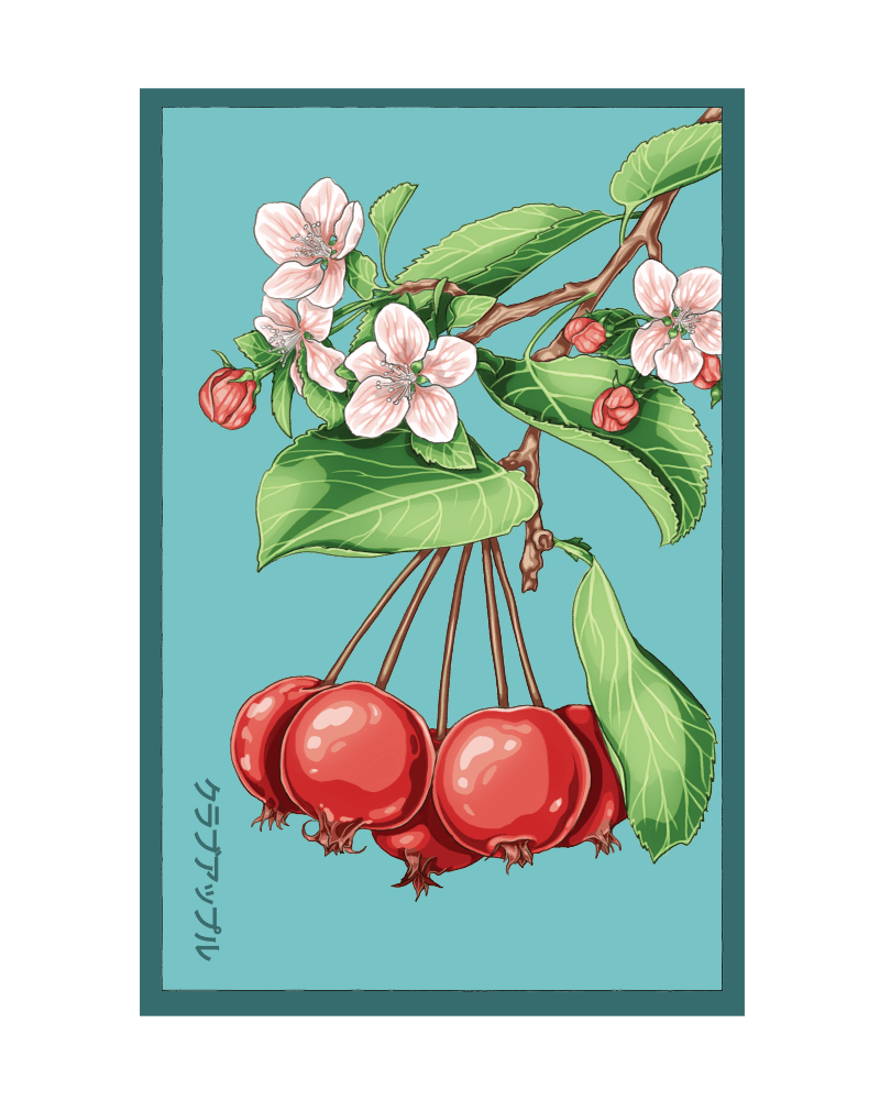 2026 Siberian Crabapple Flower Seeds Packet - Chive US Wholesale