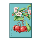 2026 Siberian Crabapple Flower Seeds Packet - Chive US Wholesale