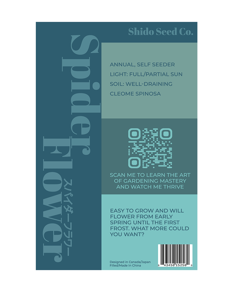 Spiderflower Flower Seeds Packet - Chive US Wholesale