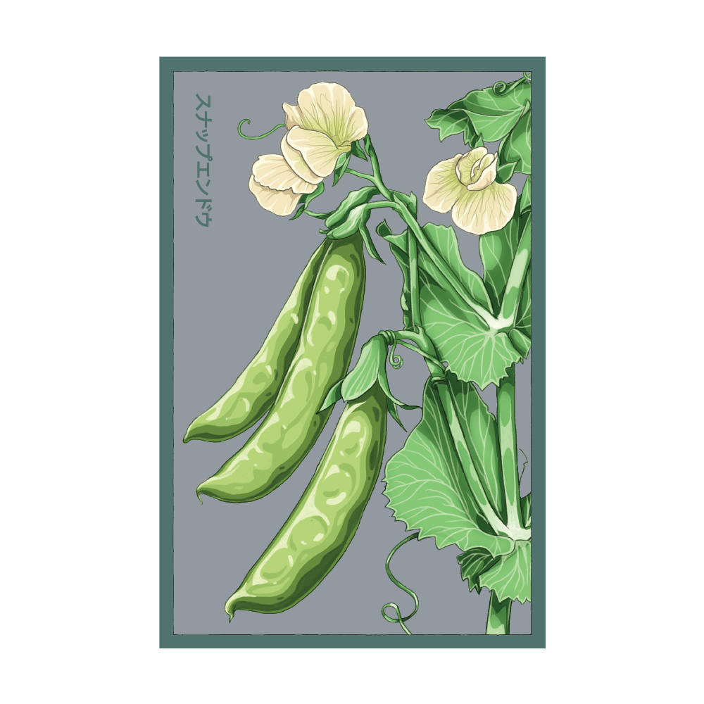 2026 Sugar Snap Pea Vegetable Seeds Packet - Chive US Wholesale