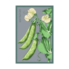 2026 Sugar Snap Pea Vegetable Seeds Packet - Chive US Wholesale