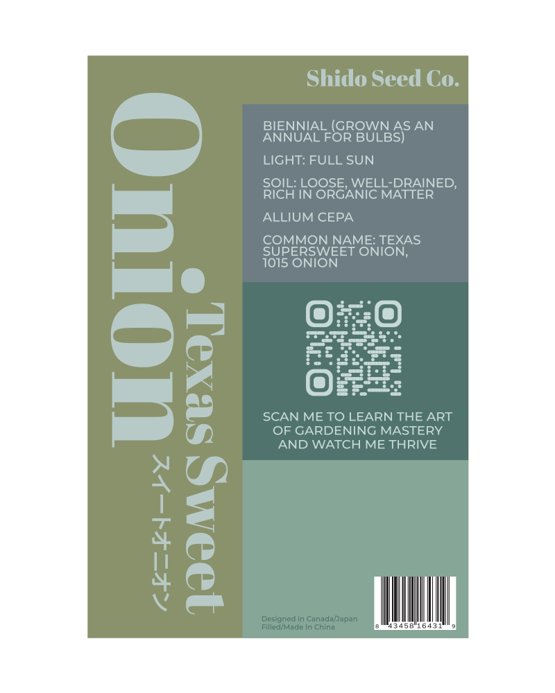 2026 Texas Super Sweet Onion Vegetable Seeds Packet - Chive US Wholesale