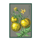 2026 Tomato Green Zebra Vegetable Seeds Packet - Chive US Wholesale