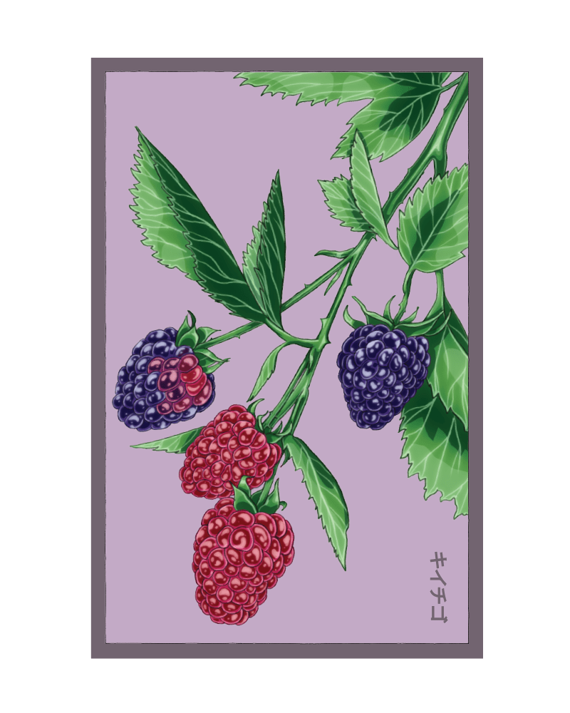 2026 Tummelberry Flower Seeds Packet - Chive US Wholesale