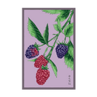 2026 Tummelberry Flower Seeds Packet - Chive US Wholesale