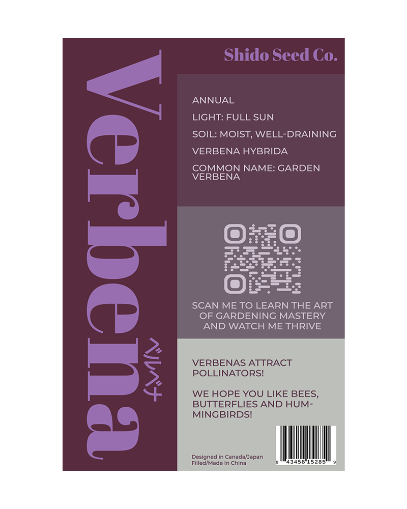 Verbena Flower Seeds Packet - Chive US Wholesale