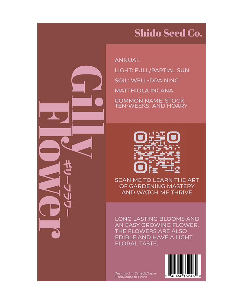 Gilly Flower Seeds Packet - Chive US Wholesale