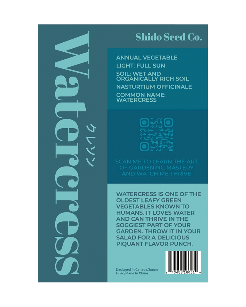 Watercress Vegetable Seeds Packet - Chive US Wholesale
