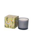 Shido Coconut & Soy Blend Chamomile Candle - Chive US Wholesale