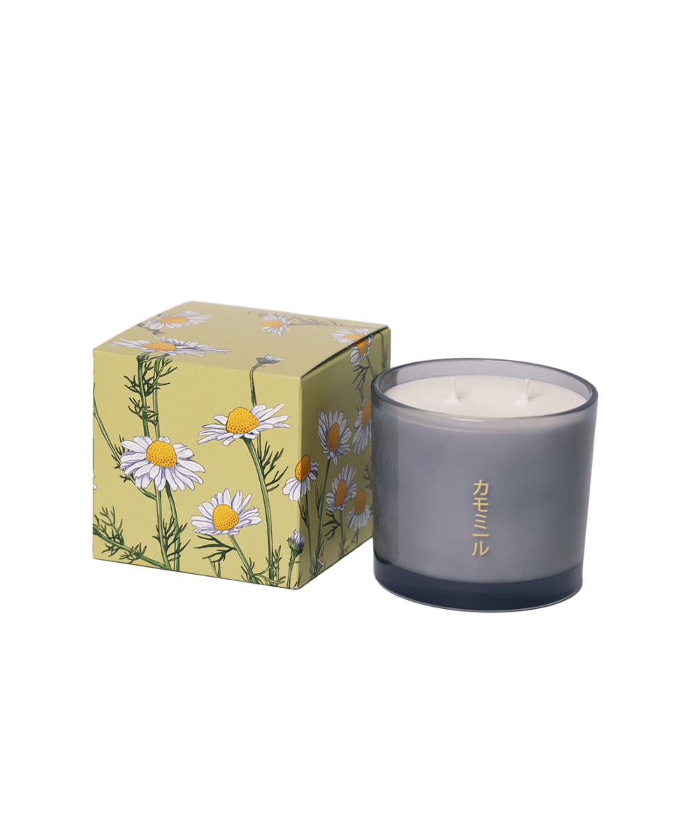 Shido Coconut & Soy Blend Chamomile Candle - Chive US Wholesale