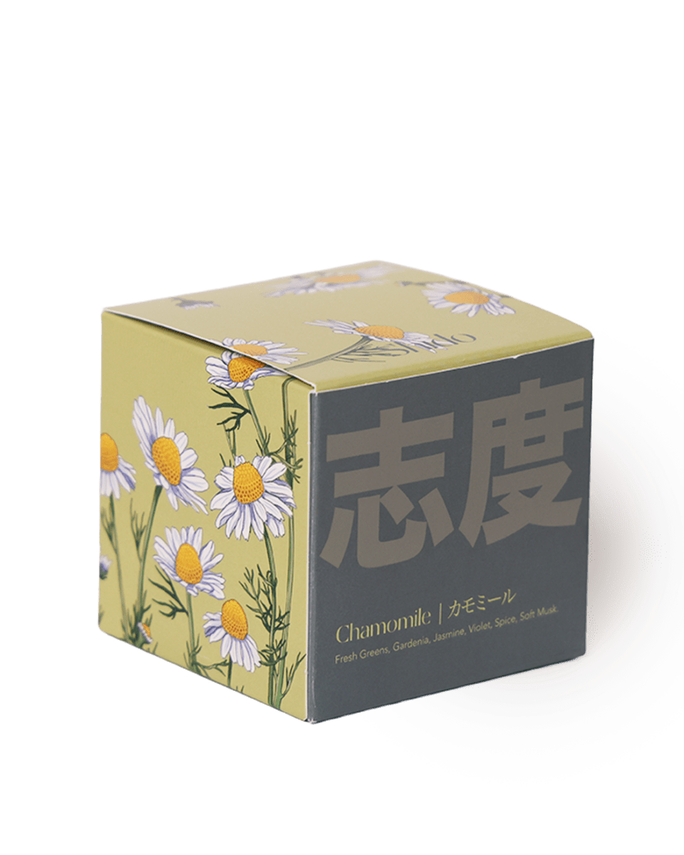 Shido Coconut & Soy Blend Chamomile Candle - Chive US Wholesale