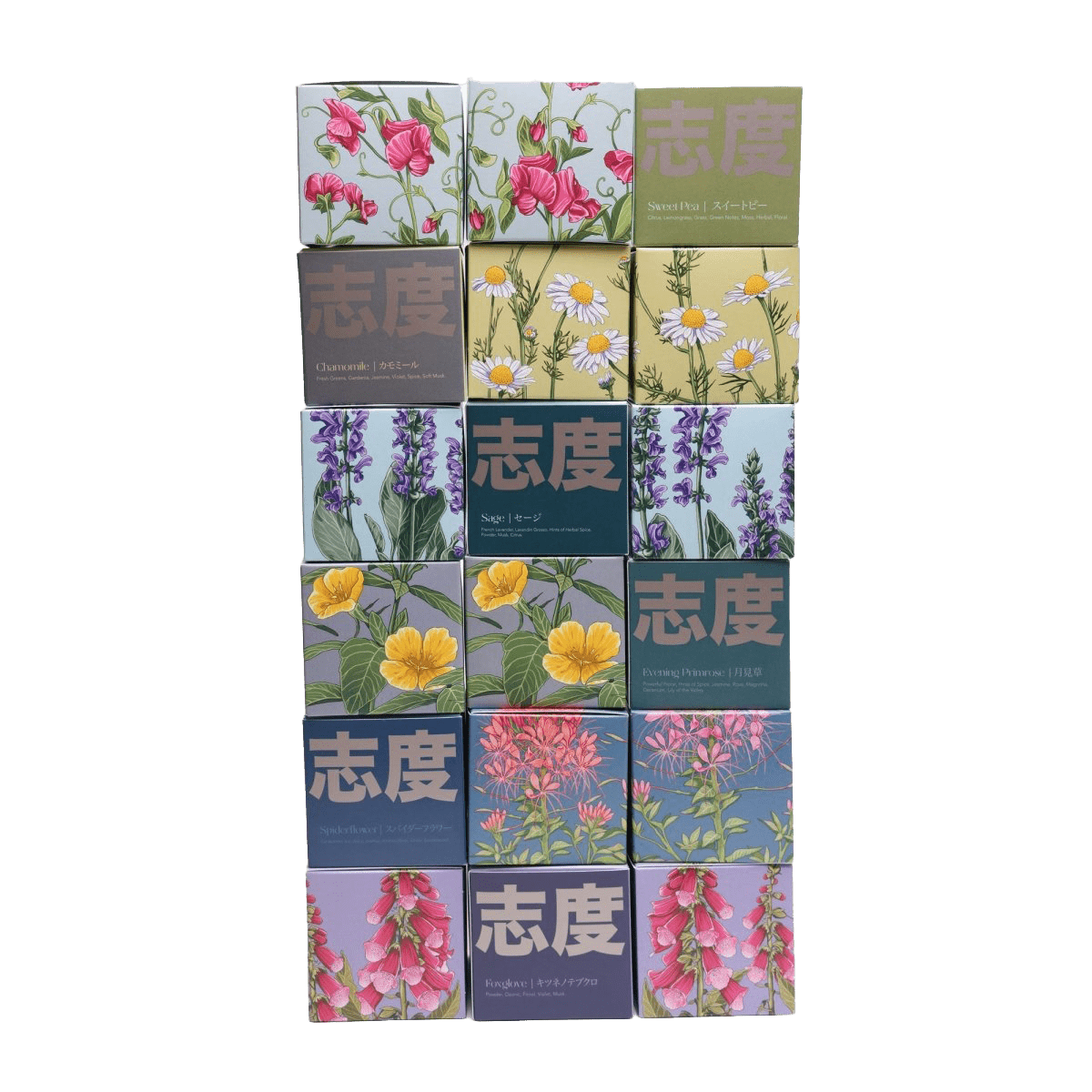 Shido Candles - 36pc Assortment - Chive US Wholesale