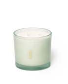 Shido Coconut & Soy Blend Evening Primrose Candle - Chive US Wholesale