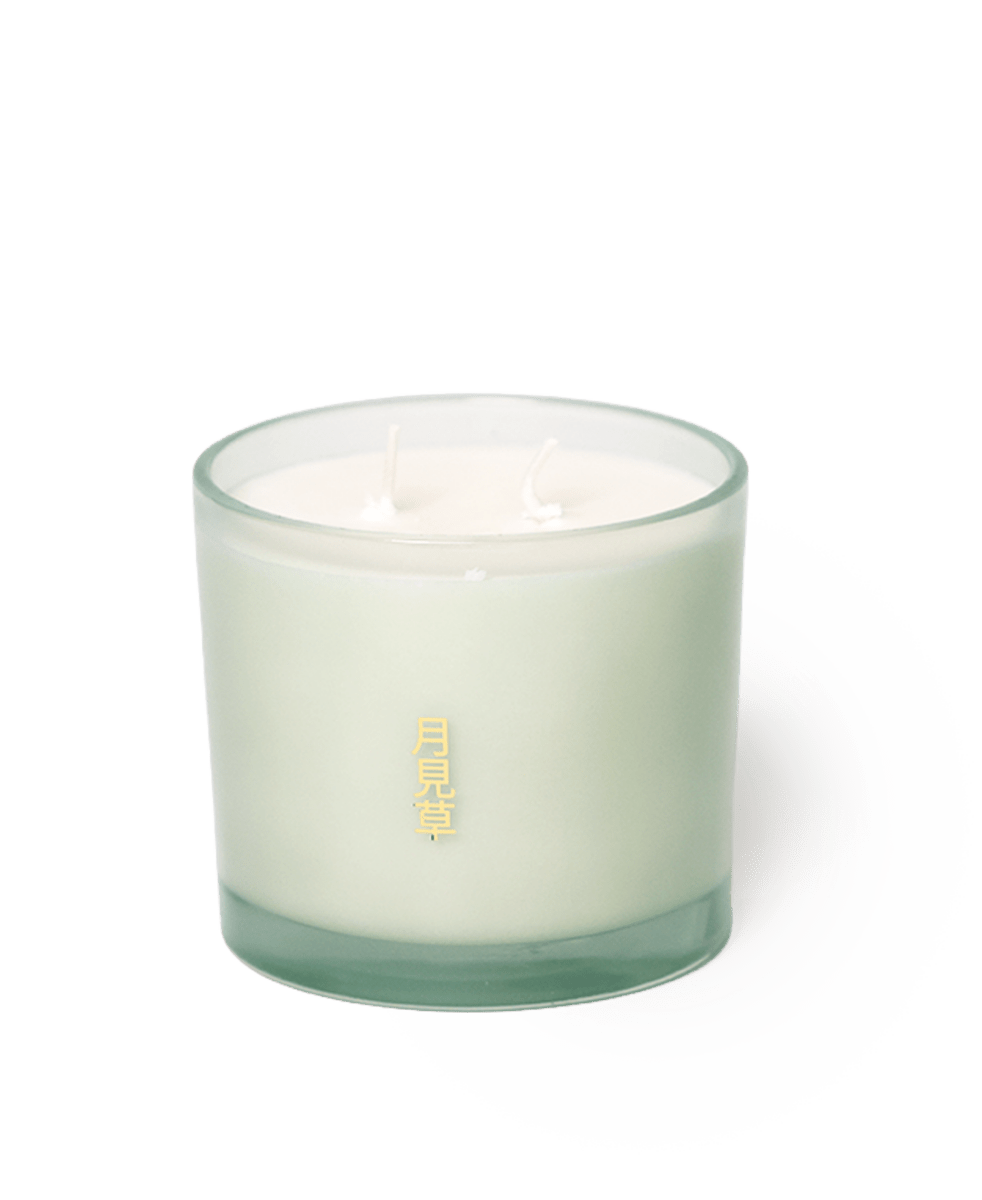 Shido Coconut & Soy Blend Evening Primrose Candle - Chive US Wholesale