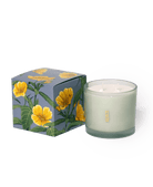 Shido Coconut & Soy Blend Evening Primrose Candle - Chive US Wholesale