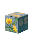 Shido Coconut & Soy Blend Evening Primrose Candle - Chive US Wholesale