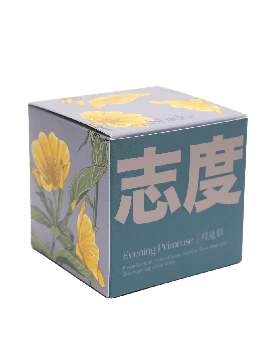 Shido Candles - 36pc Assortment - Chive US Wholesale