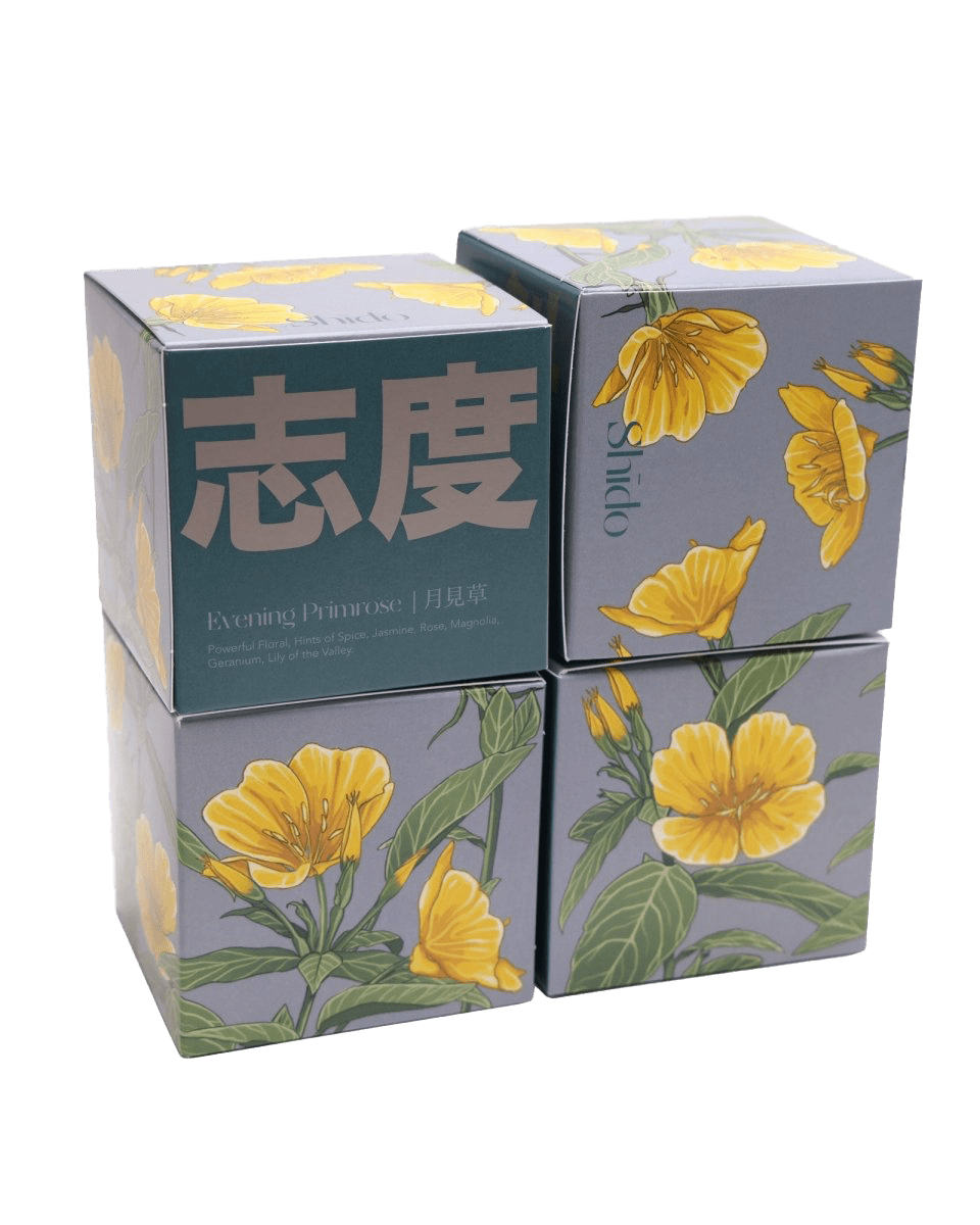 Shido Candles - 36pc Assortment - Chive US Wholesale