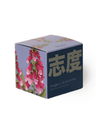 Shido Coconut & Soy Blend Foxglove Candle - Chive US Wholesale