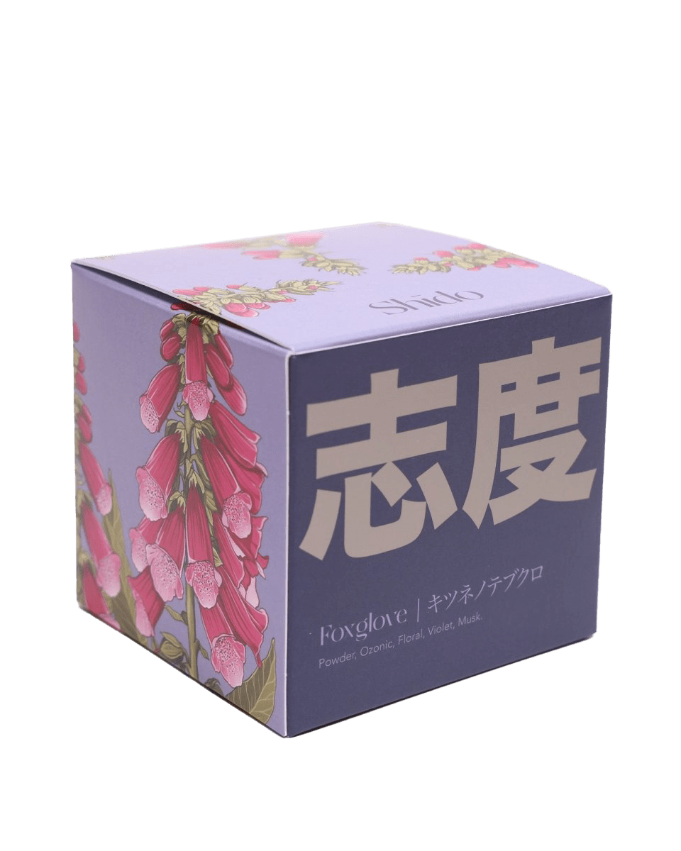 Shido Candles - 36pc Assortment - Chive US Wholesale