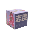 Shido Candles - 36pc Assortment - Chive US Wholesale