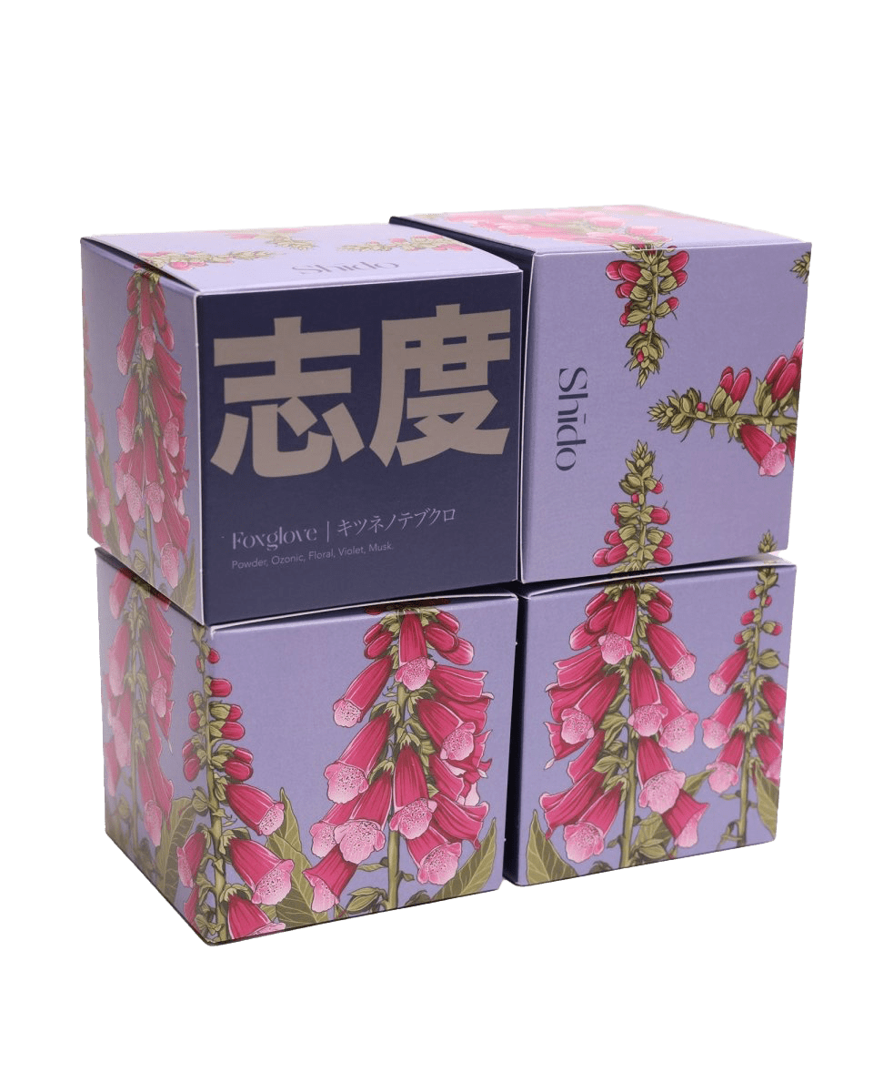 Shido Candles - 36pc Assortment - Chive US Wholesale