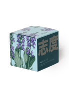 Shido Coconut & Soy Blend Sage Candle - Chive US Wholesale