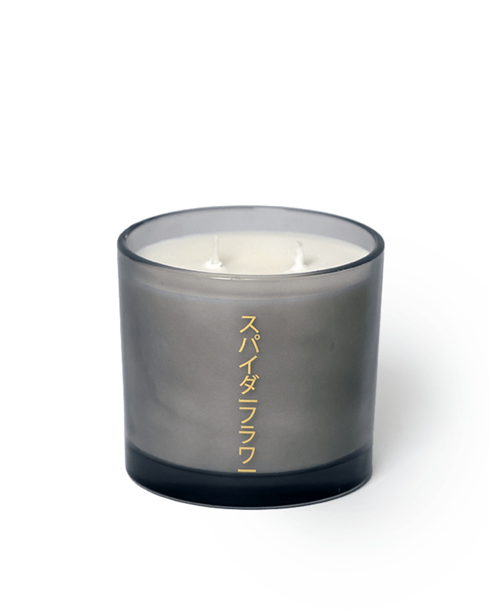 Shido Coconut & Soy Blend Spiderflower Candle - Chive US Wholesale
