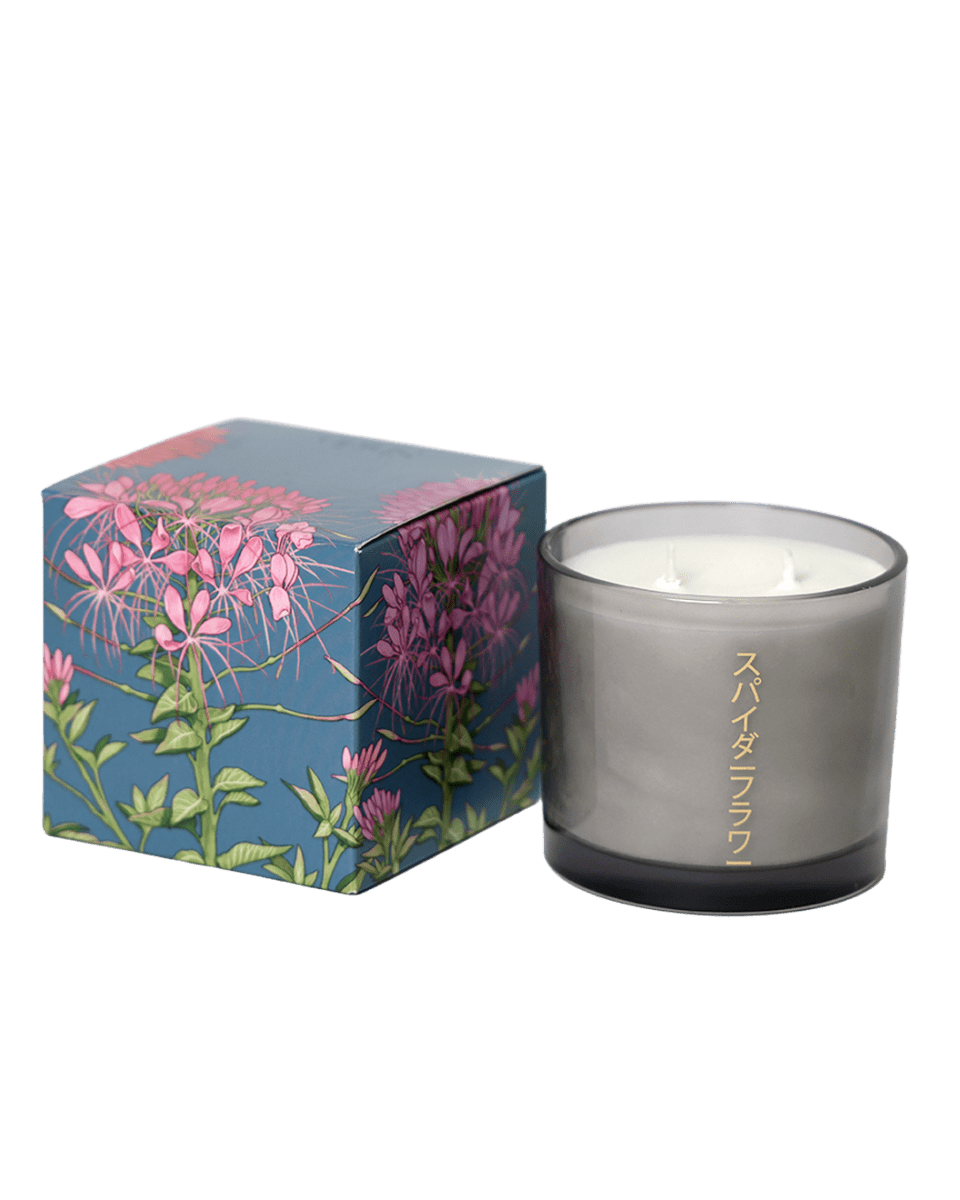 Shido Coconut & Soy Blend Spiderflower Candle - Chive US Wholesale