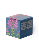 Shido Coconut & Soy Blend Spiderflower Candle - Chive US Wholesale