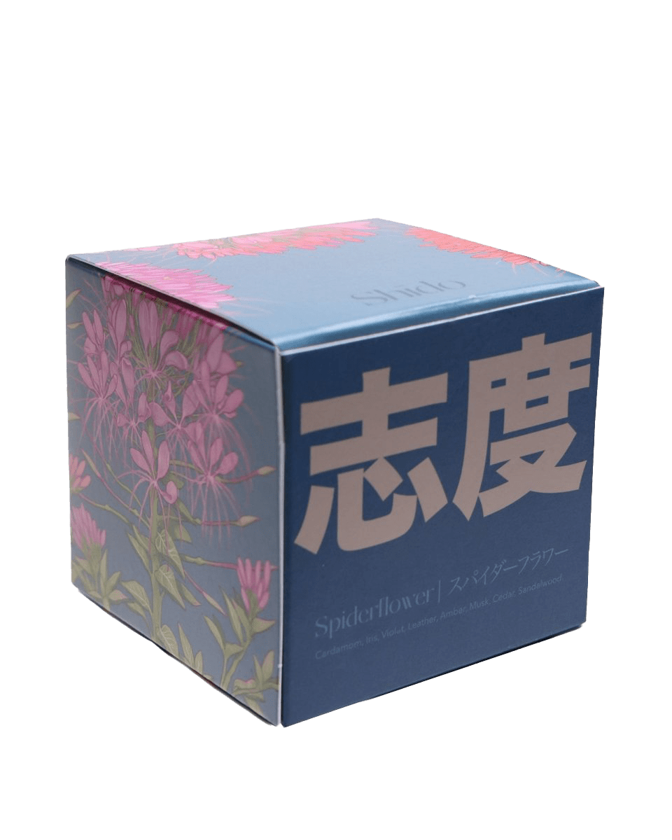 Shido Candles - 36pc Assortment - Chive US Wholesale