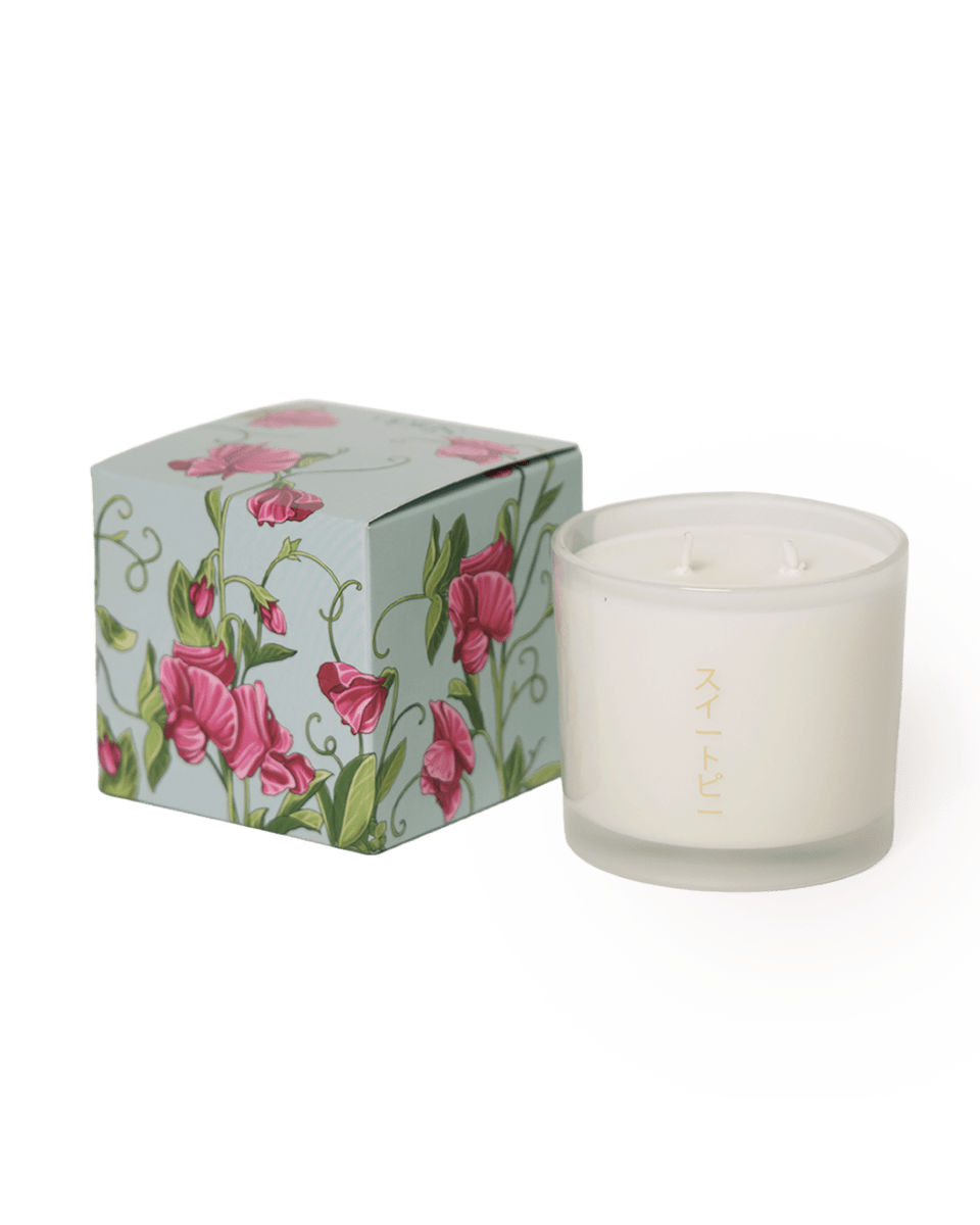 Shido Coconut & Soy Blend Sweet Pea Candle - Chive US Wholesale